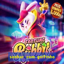 sonhar com golfinho jogo do bicho